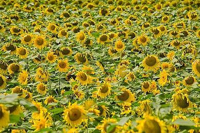 《死亡搁浅2》媒体赞誉图 主要角色全家福欣赏